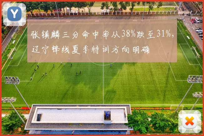 张镇麟三分命中率从38%跌至31%，辽宁锋线夏季特训方向明确