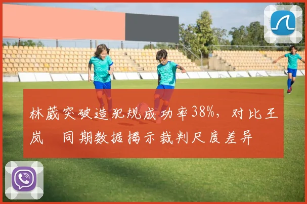 林葳突破造犯规成功率38%，对比王岚嵚同期数据揭示裁判尺度差异